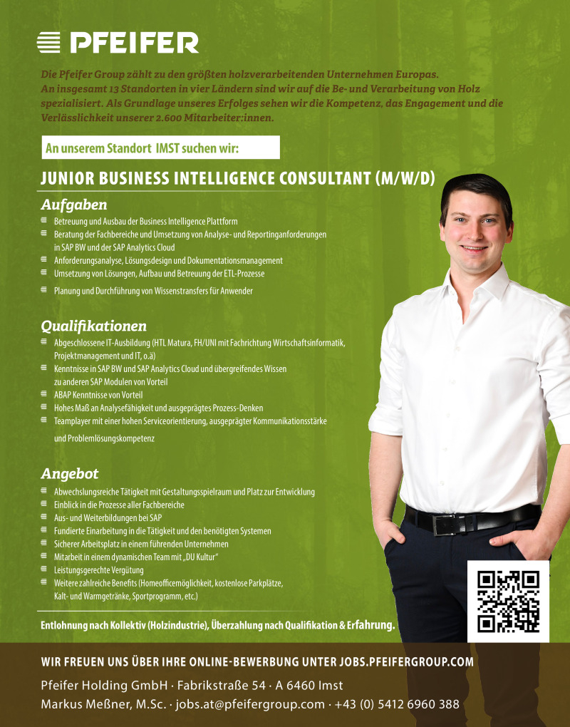 Junior Business Intelligence Consultant (m/w/d)