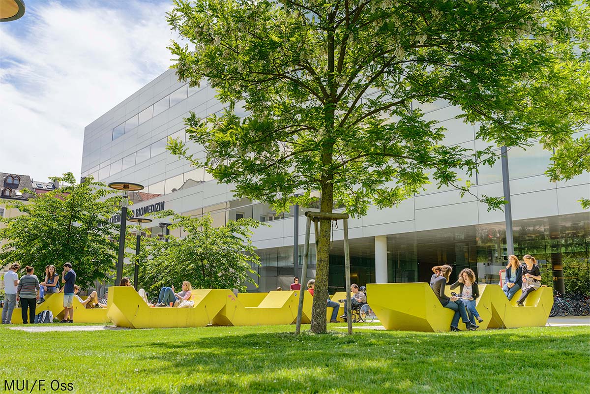 Medizinische Universität Innsbruck