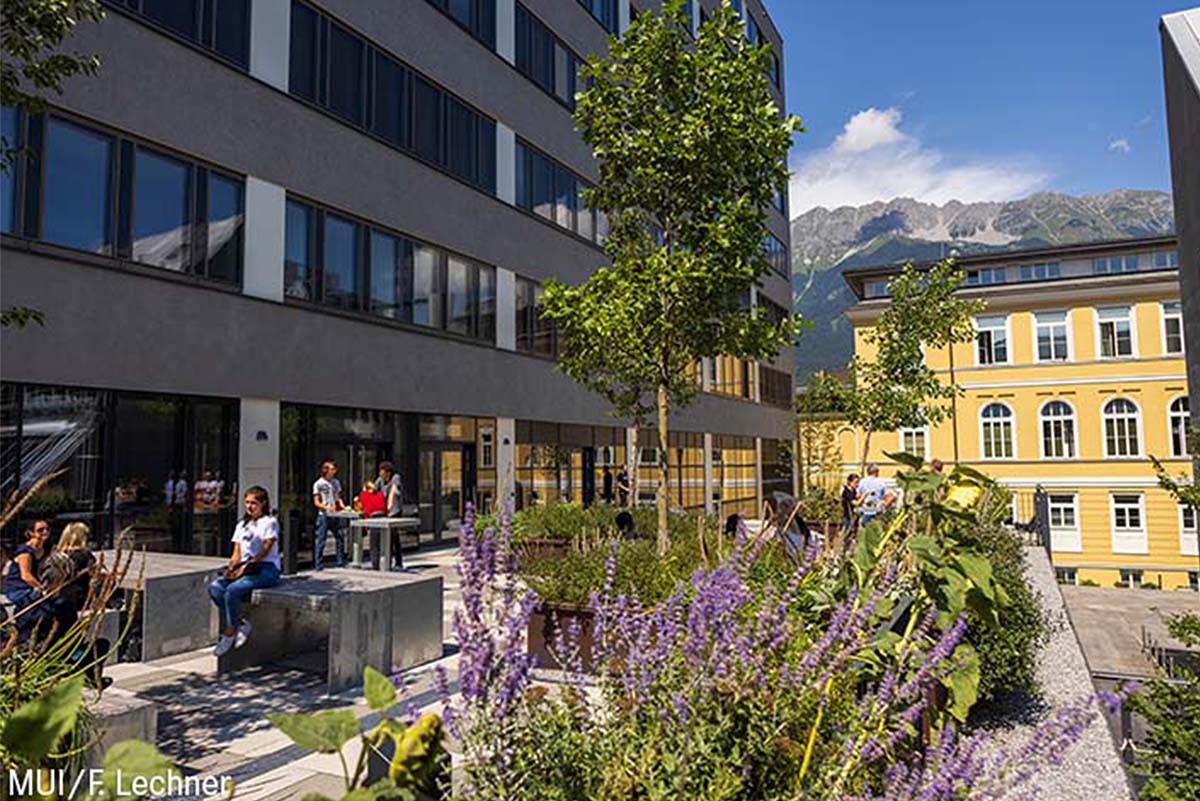 Medizinische Universität Innsbruck