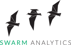 Swarm Analytics GmbH