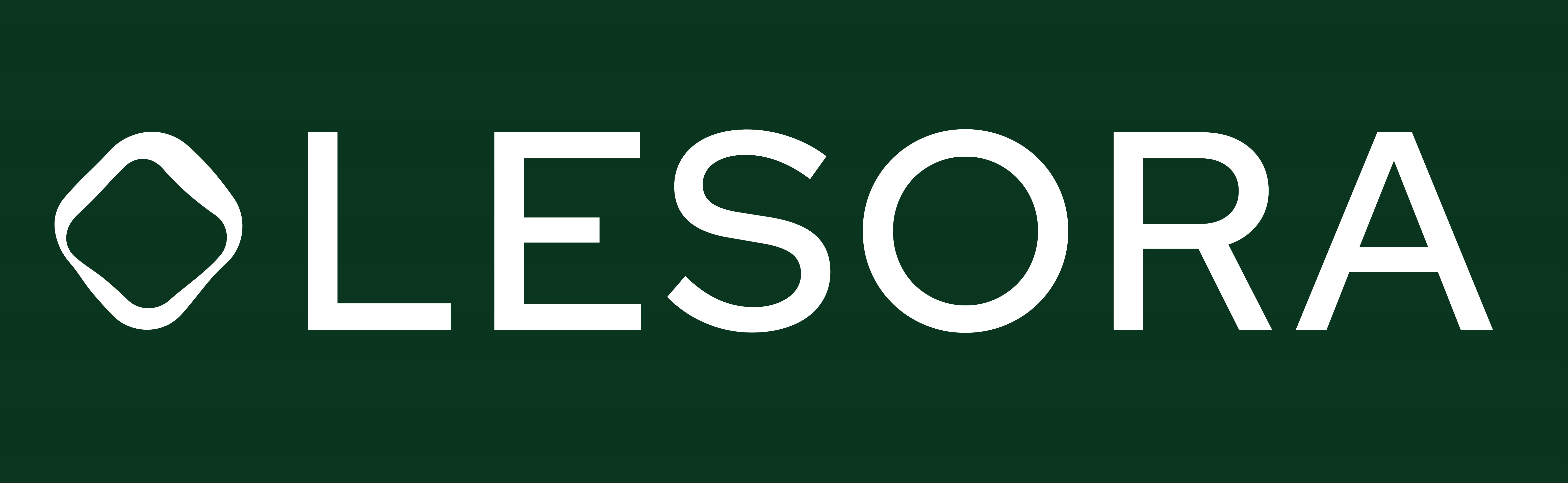 Jobs bei Lesora GmbH