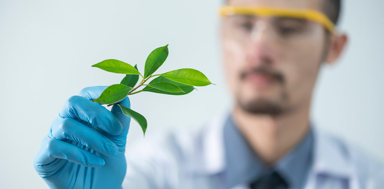 Was macht ein:e Biologe*Biologin? Was macht ein:e Biologe*Biologin?