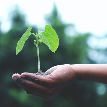 Green Jobs: Nachhaltigkeit als Wettbewerbsvorteil im Kampf um Fachkräfte