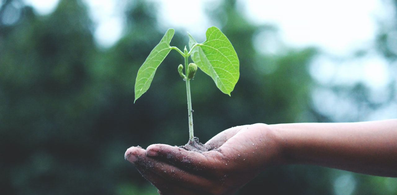 Die Zukunft: Green Jobs